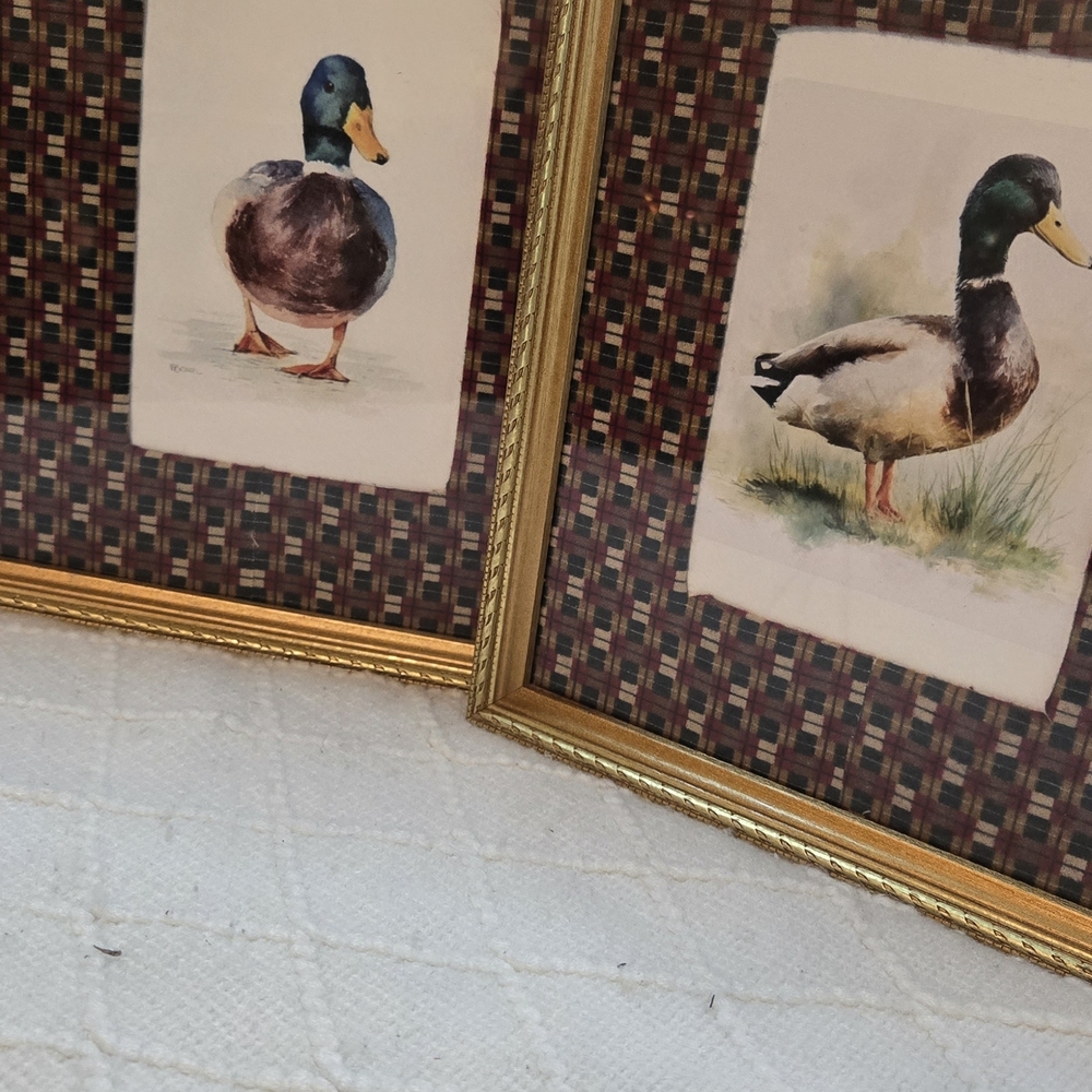 Gold Framed Duck Art Prints - Home Accents